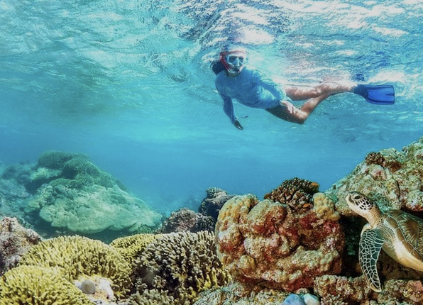 Dolphin Watching & Snorkelling Boat Trip from Muscat gallery 2