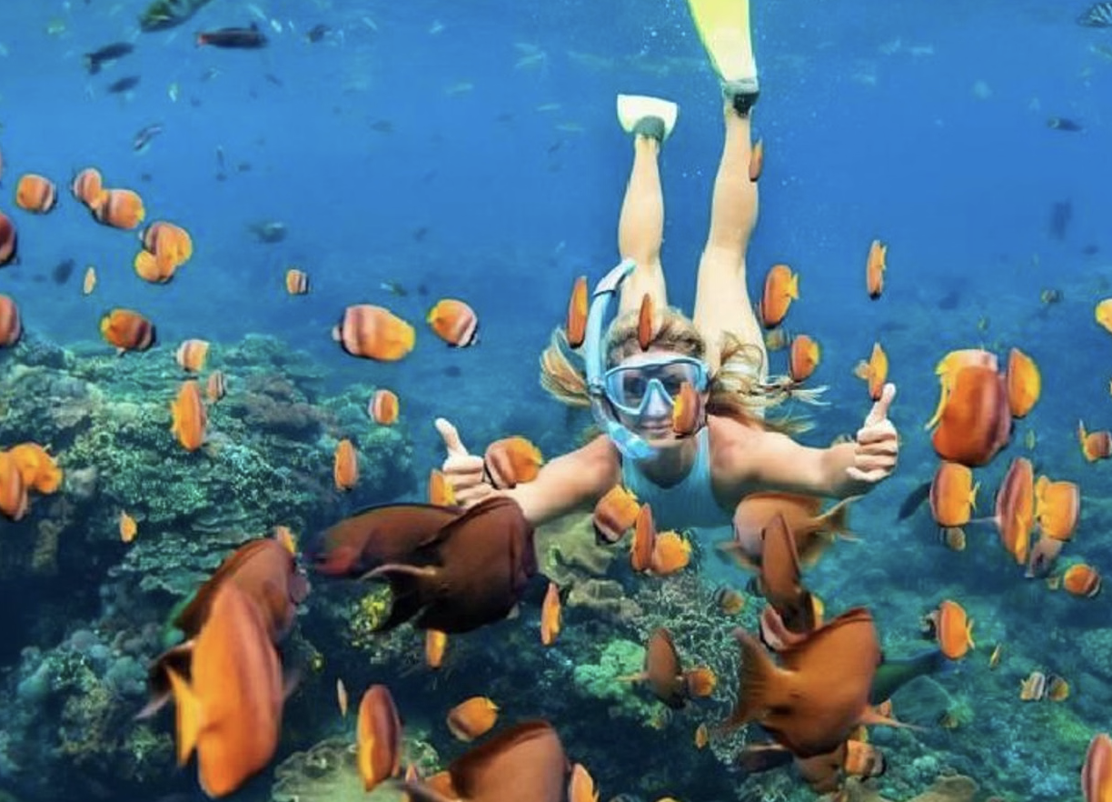 Ras Mohammed National Park Snorkelling Boat Trip with White Island, listing photo