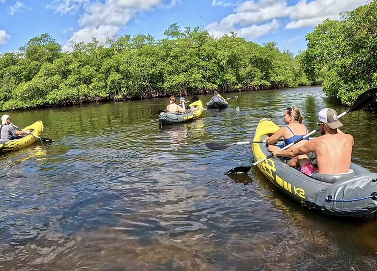 Kayak & Paddleboard Mangrove Eco Tour in Fort Lauderdale, photo 4