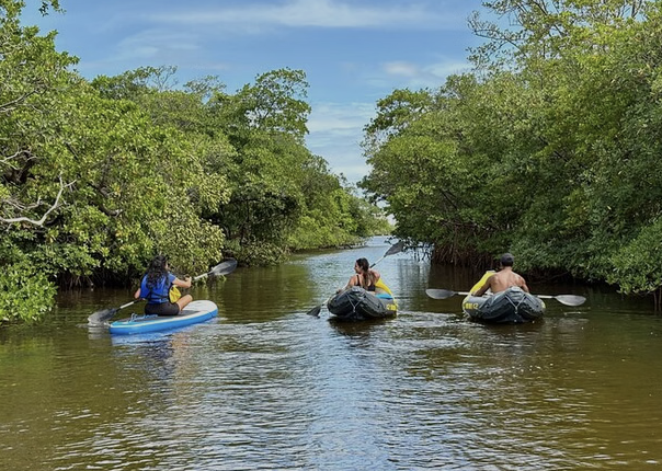 Kayak & Paddleboard Mangrove Eco Tour in Fort Lauderdale gallery 3