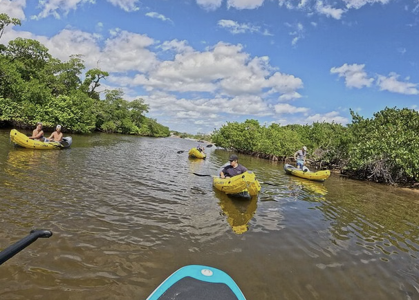 Kayak & Paddleboard Mangrove Eco Tour in Fort Lauderdale gallery 2