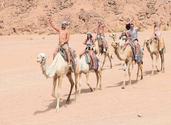 ATV Quad Bike Desert Safari with Camel Ride from Sharm El Sheikh gallery 3