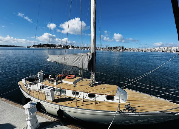 Private Therapeutic Sailing Experience on Santa Monica Bay, photo 4