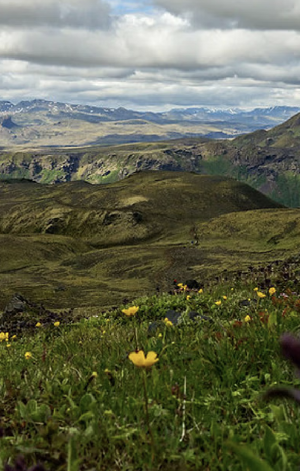 Fimmvörðuháls Private Day Hike – Skógar to Þórsmörk gallery 3