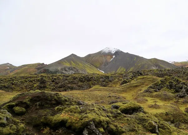 Laugavegur Trek: Landmannalaugar to Þórsmörk – 3-Day Guided Hike gallery 2