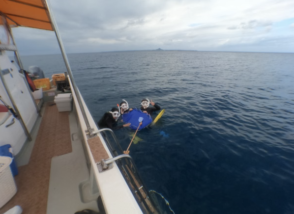 Okinawa Boat Snorkelling – Two Guided Rounds at Minna, Sesoko or Motobu, photo 4