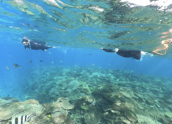 Okinawa Boat Snorkelling – Two Guided Rounds at Minna, Sesoko or Motobu gallery 2