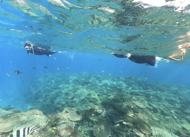 Okinawa Boat Snorkelling – Two Guided Rounds at Minna, Sesoko or Motobu, photo 2