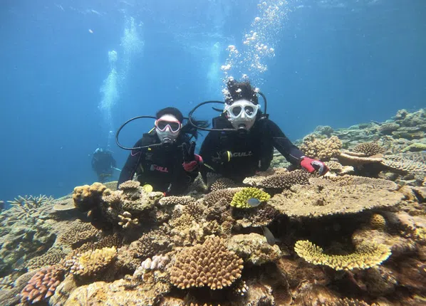 Okinawa Discover Scuba Diving – Private Beginner Dive at Minna, Sesoko or Motobu, photo 4