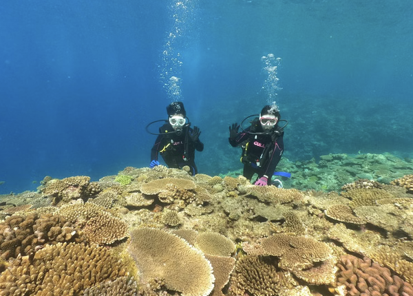 Okinawa Discover Scuba Diving – Private Beginner Dive at Minna, Sesoko or Motobu, photo 2