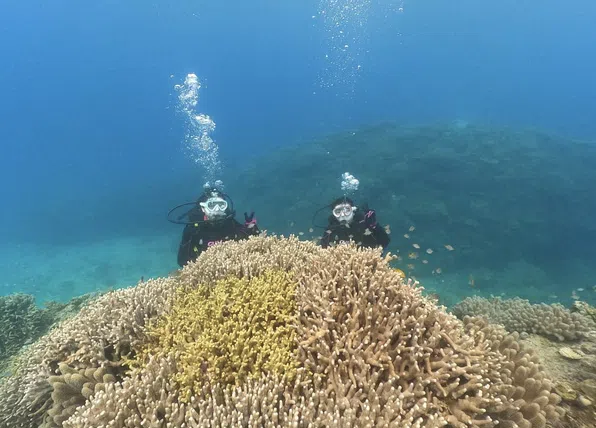 Okinawa Discover Scuba Diving – Private Beginner Dive at Minna, Sesoko or Motobu, photo 5