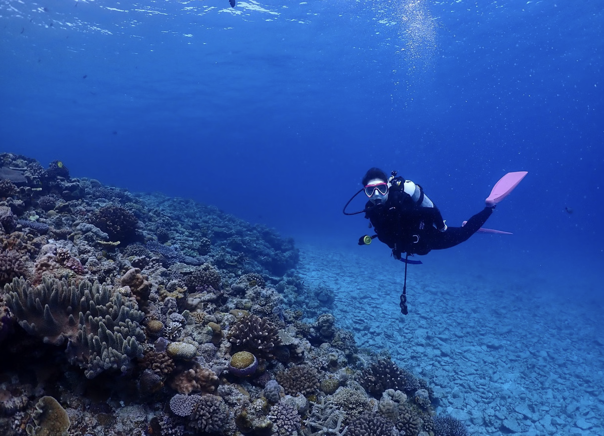 Okinawa Boat Fun Diving – Private Dives at Minna, Sesoko or Motobu for Certified Divers gallery 5