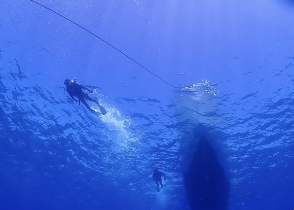 Okinawa Boat Fun Diving – Private Dives at Minna, Sesoko or Motobu for Certified Divers gallery 3