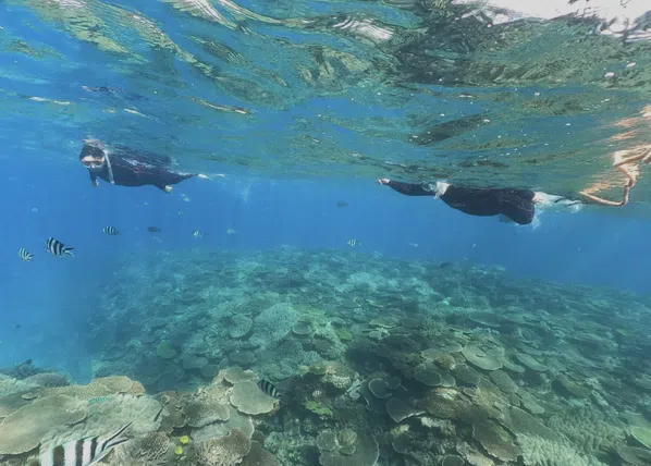 Okinawa Boat Snorkelling – Private Afternoon Session at Minna, Sesoko or Motobu gallery 2