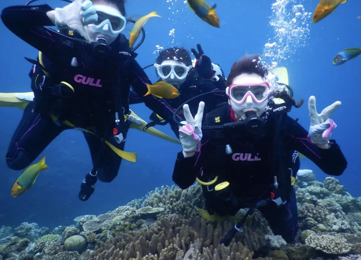 Okinawa Discover Scuba Diving – Private Two-Dive Experience at Minna, Sesoko or Motobu gallery 4