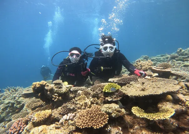 Okinawa Discover Scuba Diving – Private Two-Dive Experience at Minna, Sesoko or Motobu gallery 3