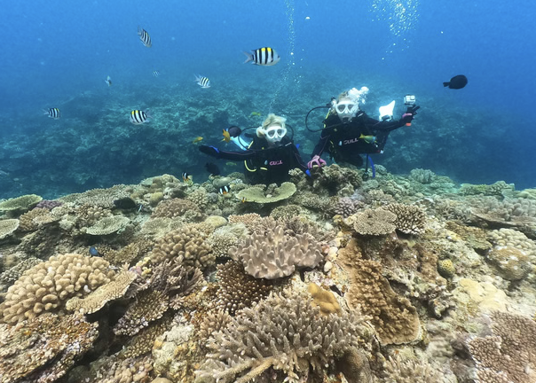 Okinawa Discover Scuba Diving – Private Two-Dive Experience at Minna, Sesoko or Motobu, photo 3