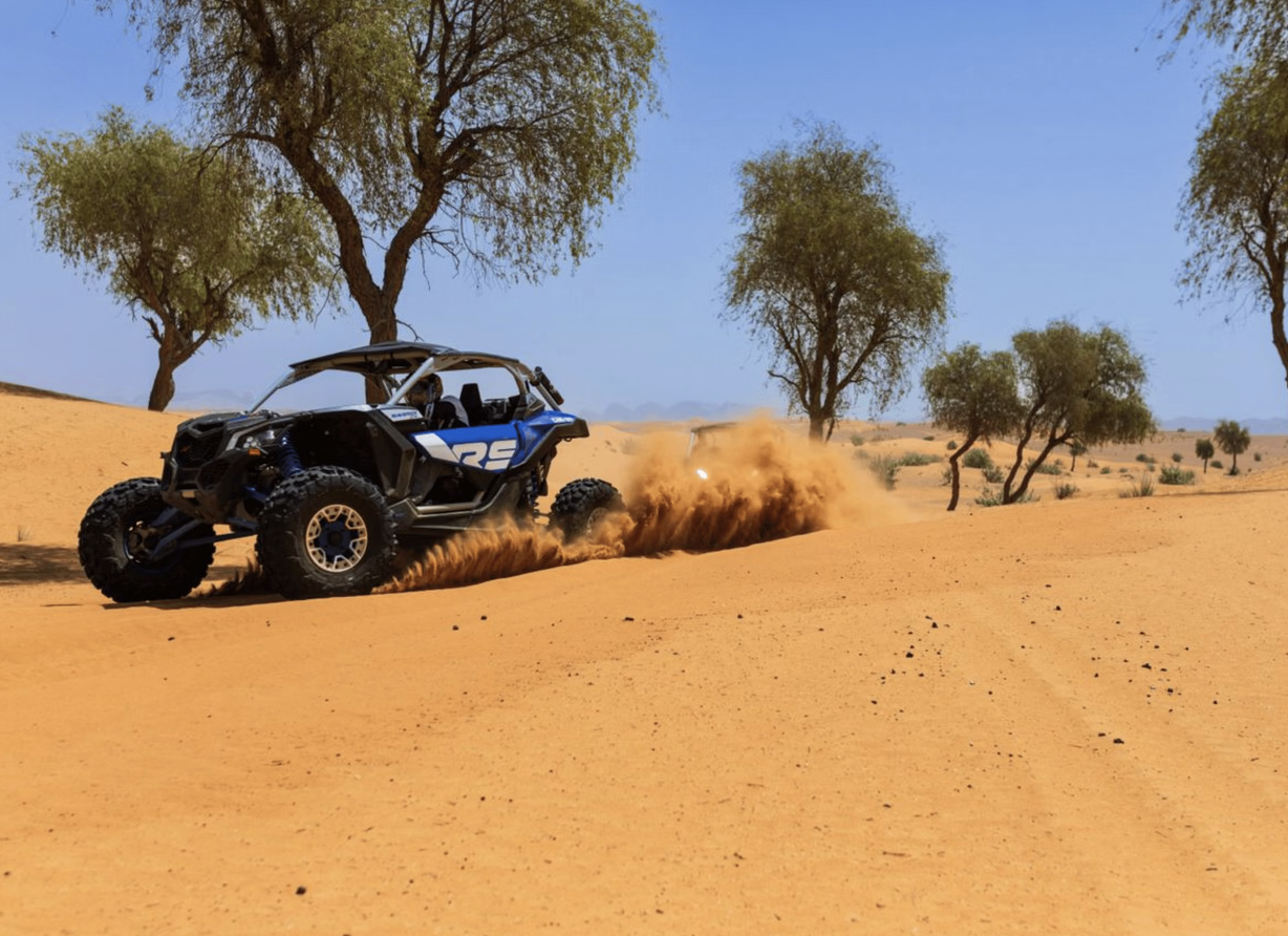 Big Red Desert Buggy Tour – 2 Hours with Sandboarding & Camel Interaction, listing photo