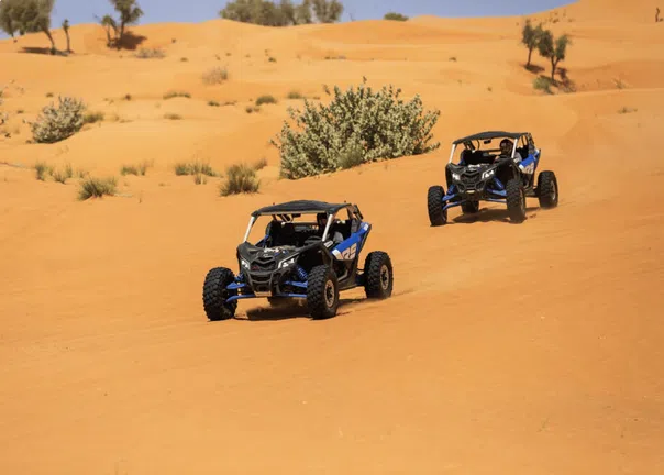 Big Red Desert Buggy Tour with Camel Interaction & Sandboarding, photo 3