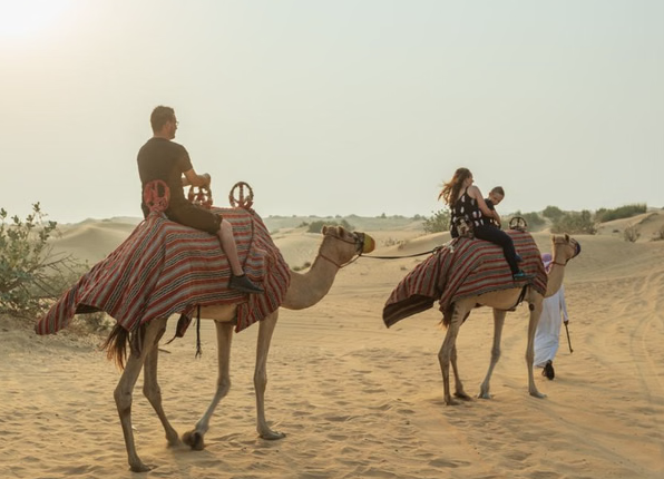 Big Red Desert Buggy Tour – 2 Hours with Sandboarding & Camel Interaction, photo 3
