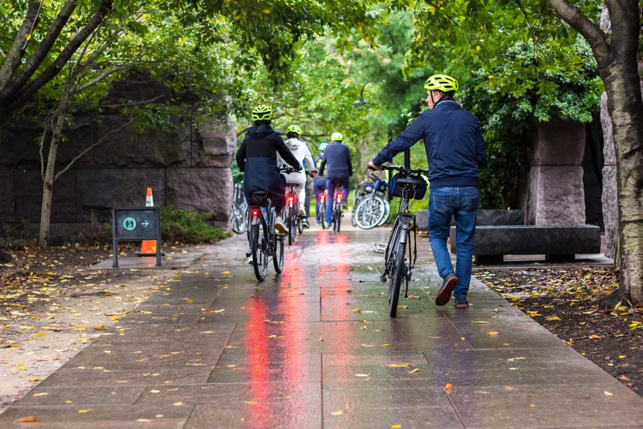 Washington DC Bike Rentals (2h, 4h or Full Day), photo 2