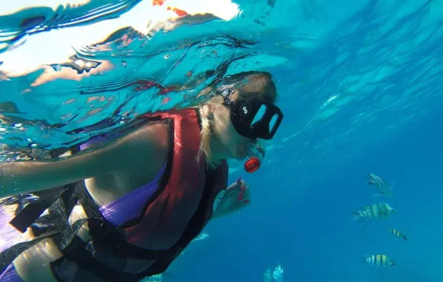 Beginner Red Sea Snorkelling Day Trip from Hurghada, photo 2