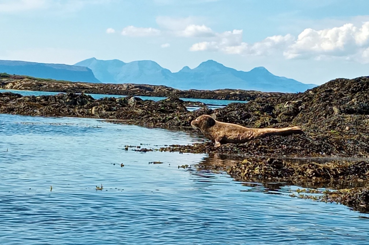 West Coast of Scotland 4-Day Canoe Adventure gallery 10