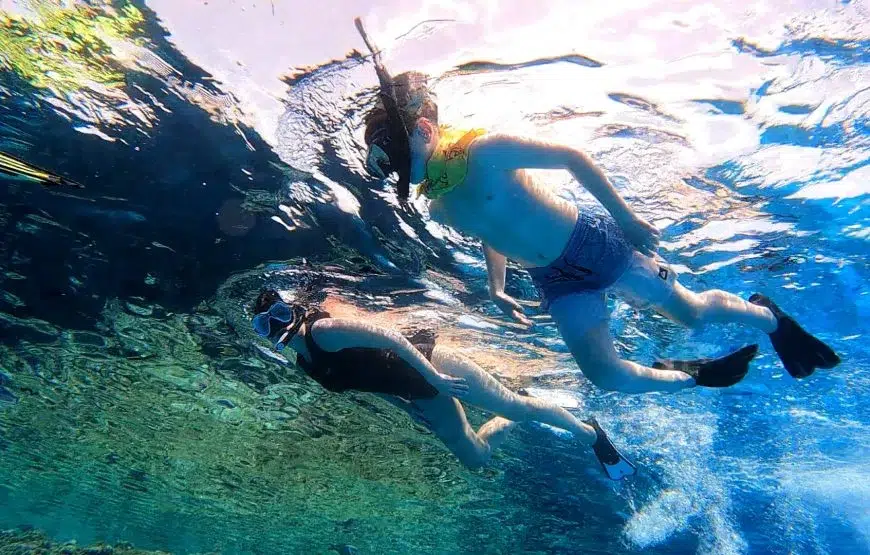 Beginner Red Sea Snorkelling Day Trip from Hurghada gallery 7