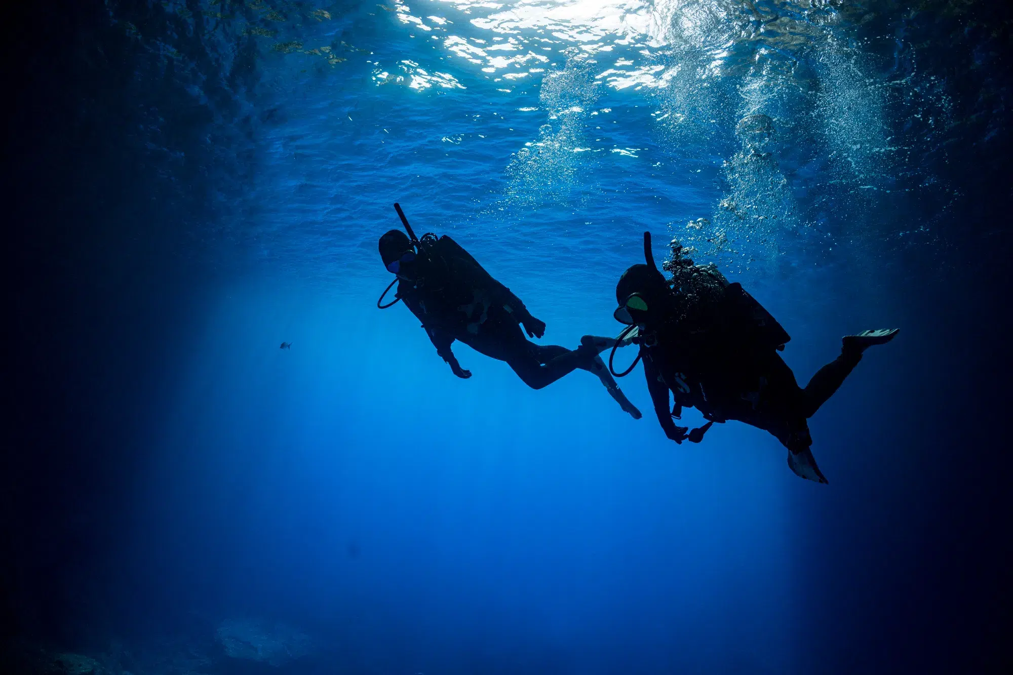 PADI Advanced Open Water Course in Madeira (2 Days), photo 5