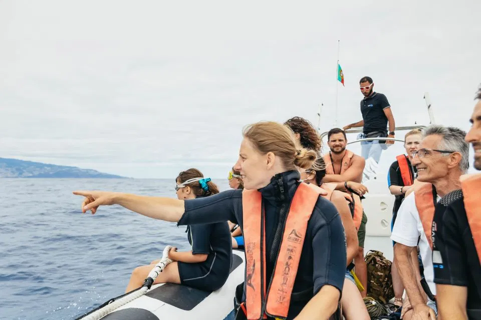 Whale & Dolphin Watching Speedboat Tour from Funchal gallery 2