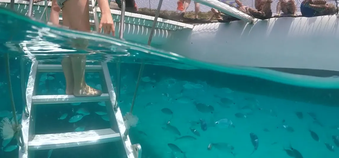 Catamaran Cruise from Palamós to Cap de Begur with BBQ & Snorkelling, photo 5