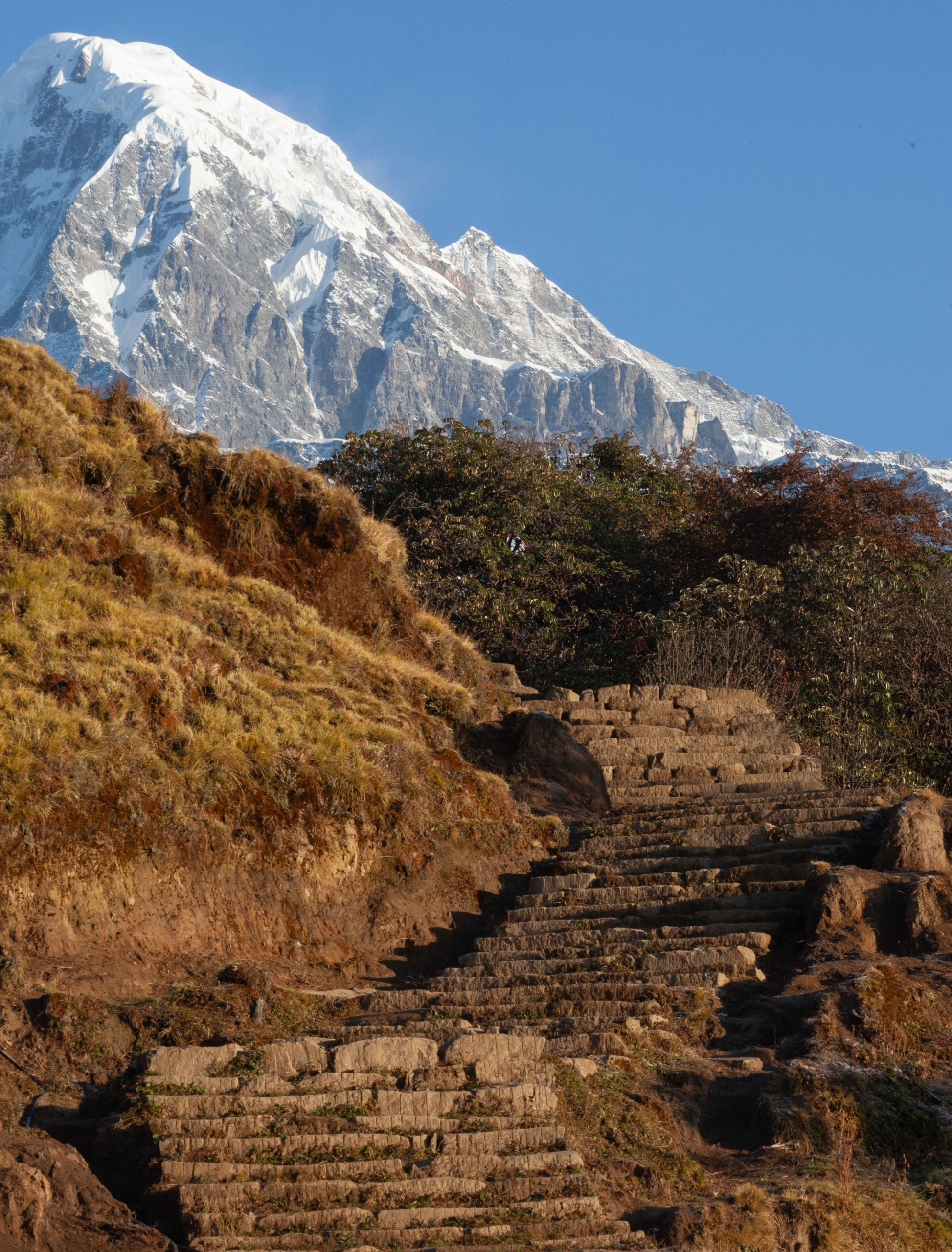 Mardi Himal Trek – 13 Day Annapurna Ridge & Base Camp Route gallery 4