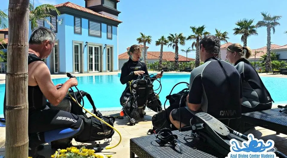 Discover Scuba Diving at Ponta de São Lourenço (Beginner Ocean Dive), photo 5