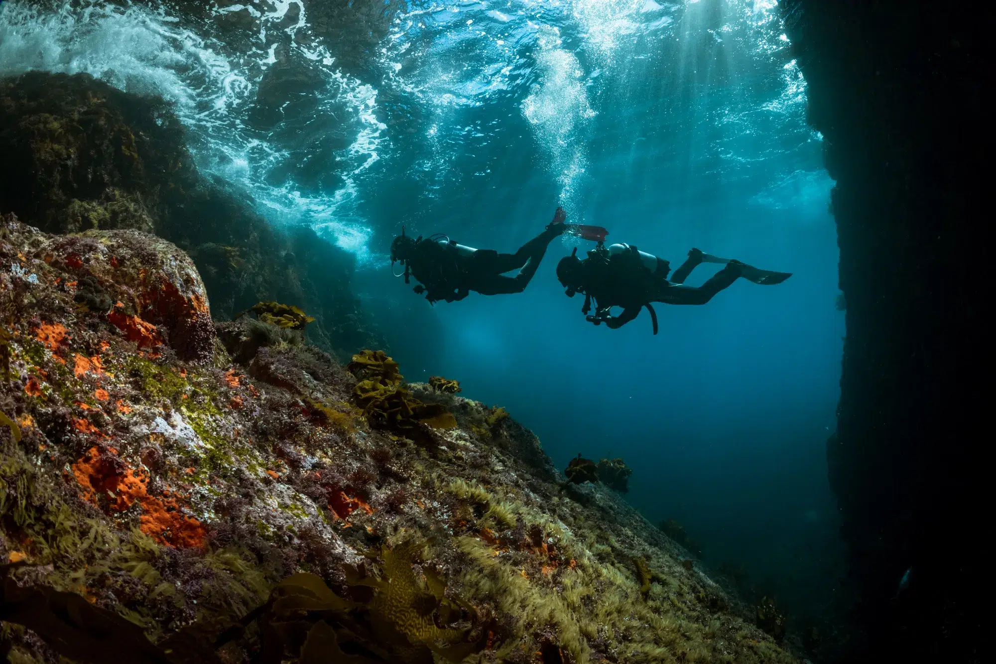 PADI Advanced Open Water Course in Madeira (2 Days), photo 4