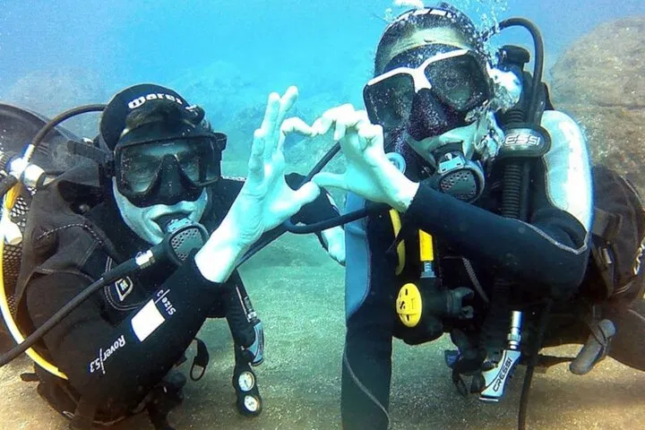 Discover Scuba Diving at Ponta de São Lourenço (Beginner Ocean Dive) gallery 7