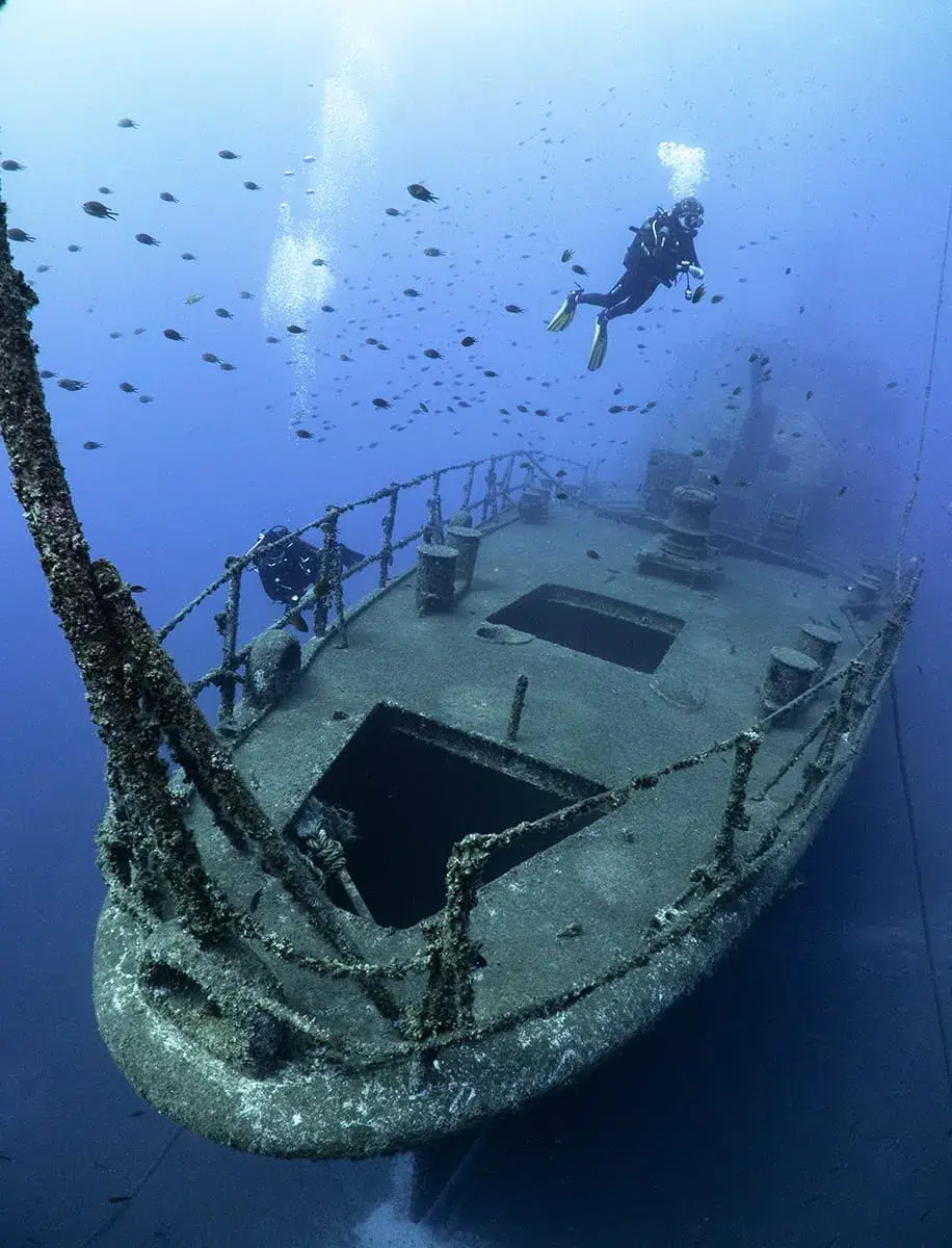 Corveta Afonso Cerqueira Wreck Dive (Boat Dive from Funchal) gallery 7