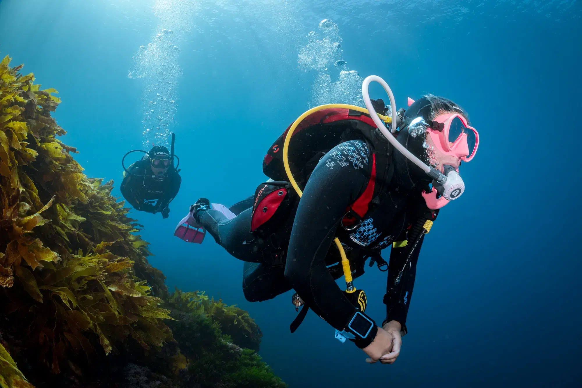 PADI Advanced Open Water Course in Madeira (2 Days), listing photo