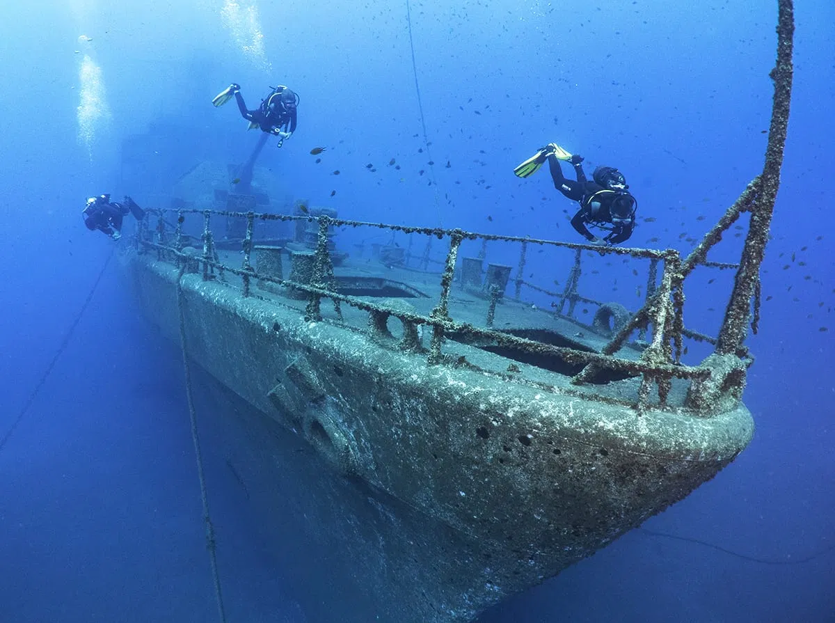 Corveta Afonso Cerqueira Wreck Dive (Boat Dive from Funchal), photo 4
