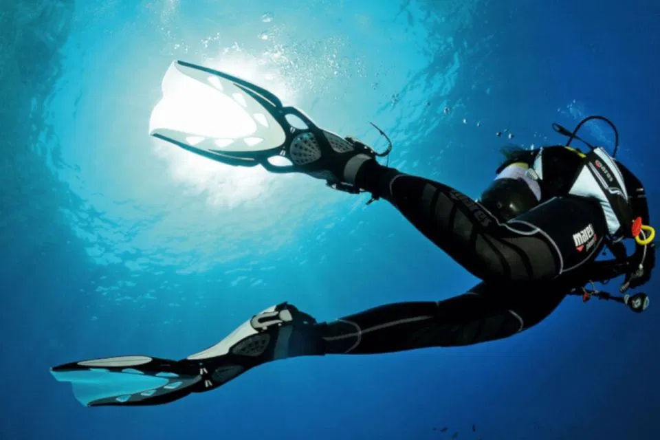 PADI Discover Scuba Diving Experience in Funchal gallery 10