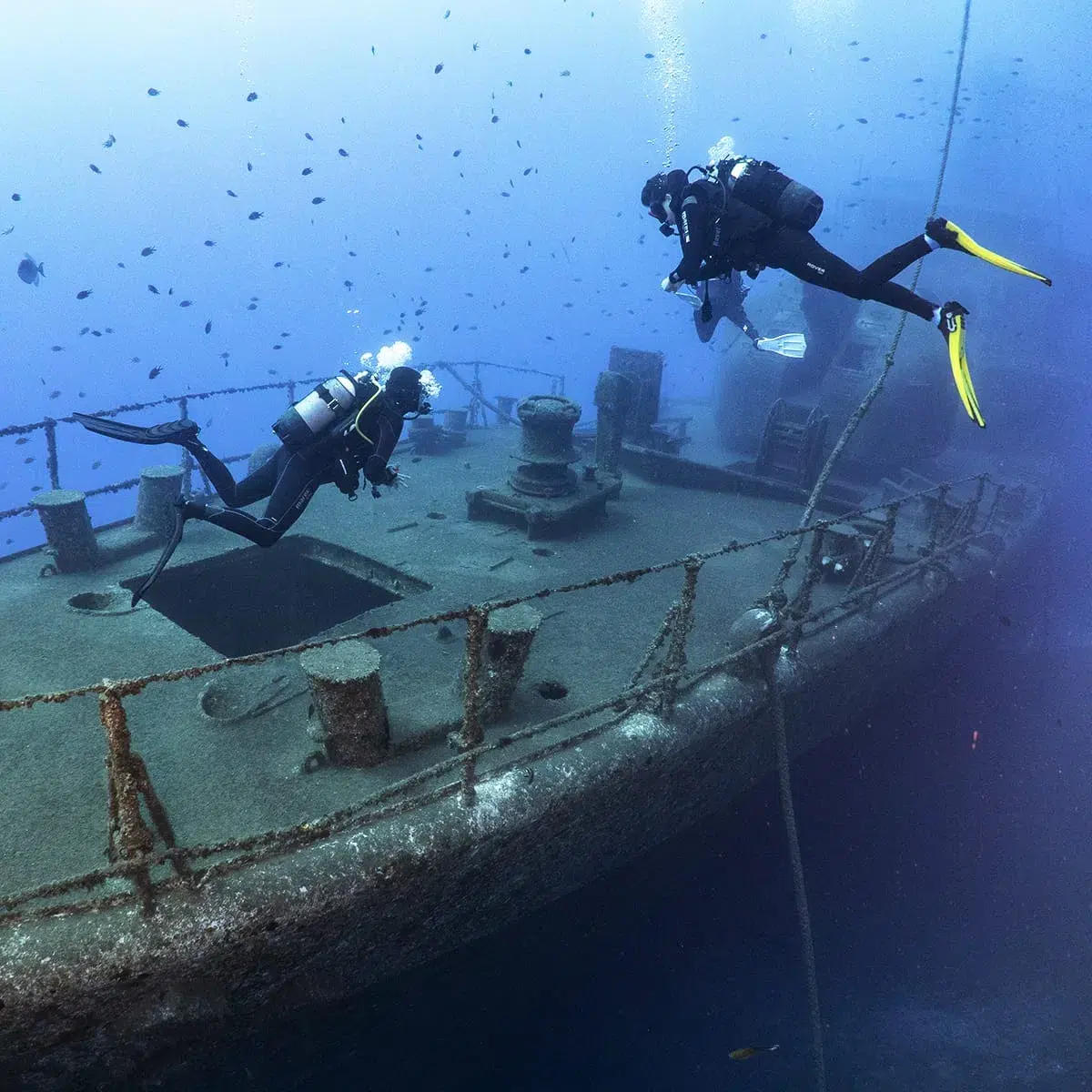 Corveta Afonso Cerqueira Wreck Dive (Boat Dive from Funchal), photo 5