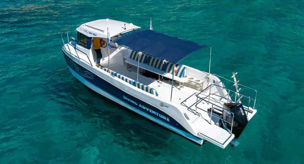 2 Boat Dives in Garajau Marine Reserve (Certified Divers), photo 3