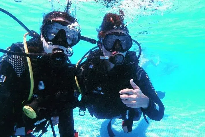 PADI Discover Scuba Diving Experience in Funchal gallery 6