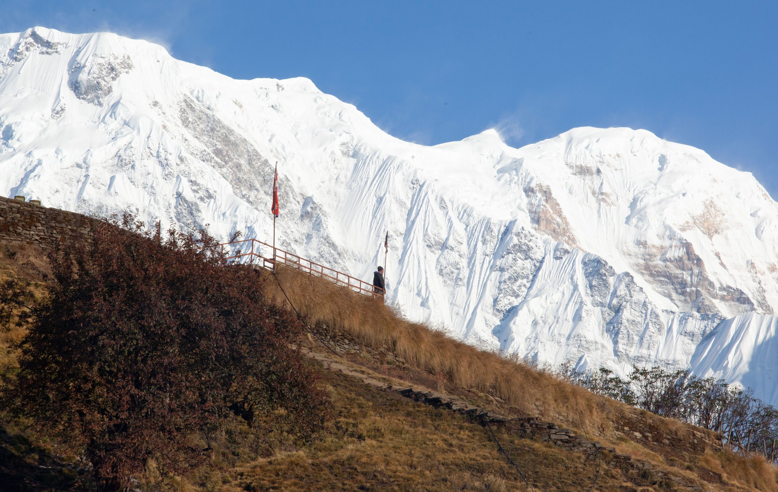 Mardi Himal Trek – 13 Day Annapurna Ridge & Base Camp Route, photo 5