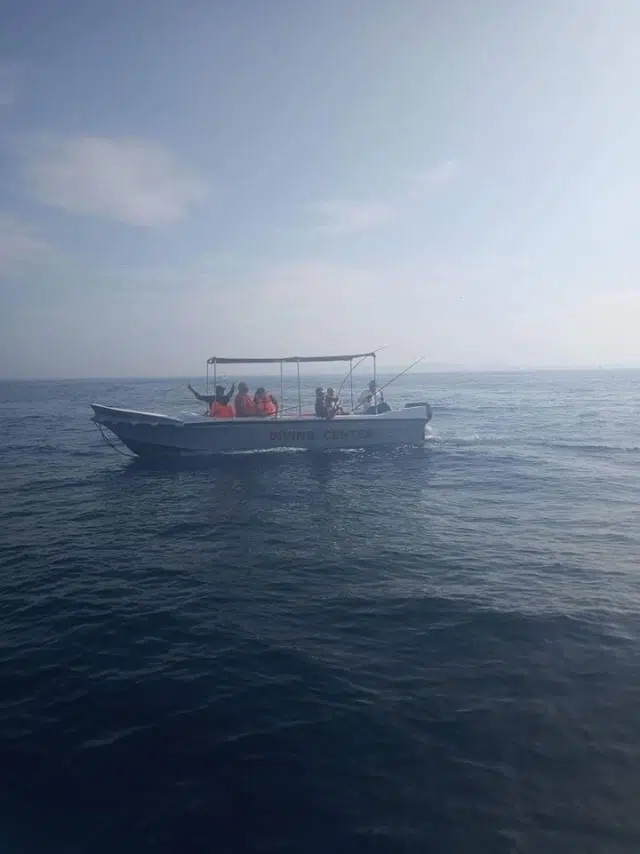 Private Scuba Diving Experience in Mirissa – Beginner Friendly, photo 2