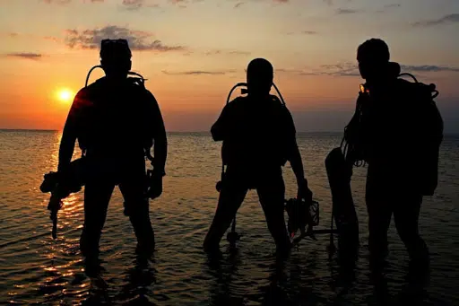 Private Dusk Scuba Diving Experience in Unawatuna, photo 2