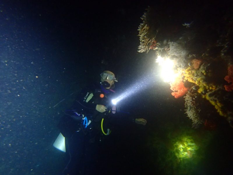 Private Night Scuba Diving Experience in Mirissa gallery 3