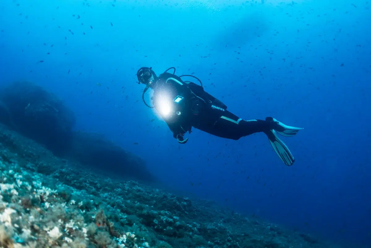 Private Night Scuba Diving Experience in Mirissa, photo 2