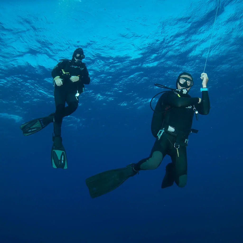 Private Scuba Diving Experience in Mirissa – Beginner Friendly, photo 4