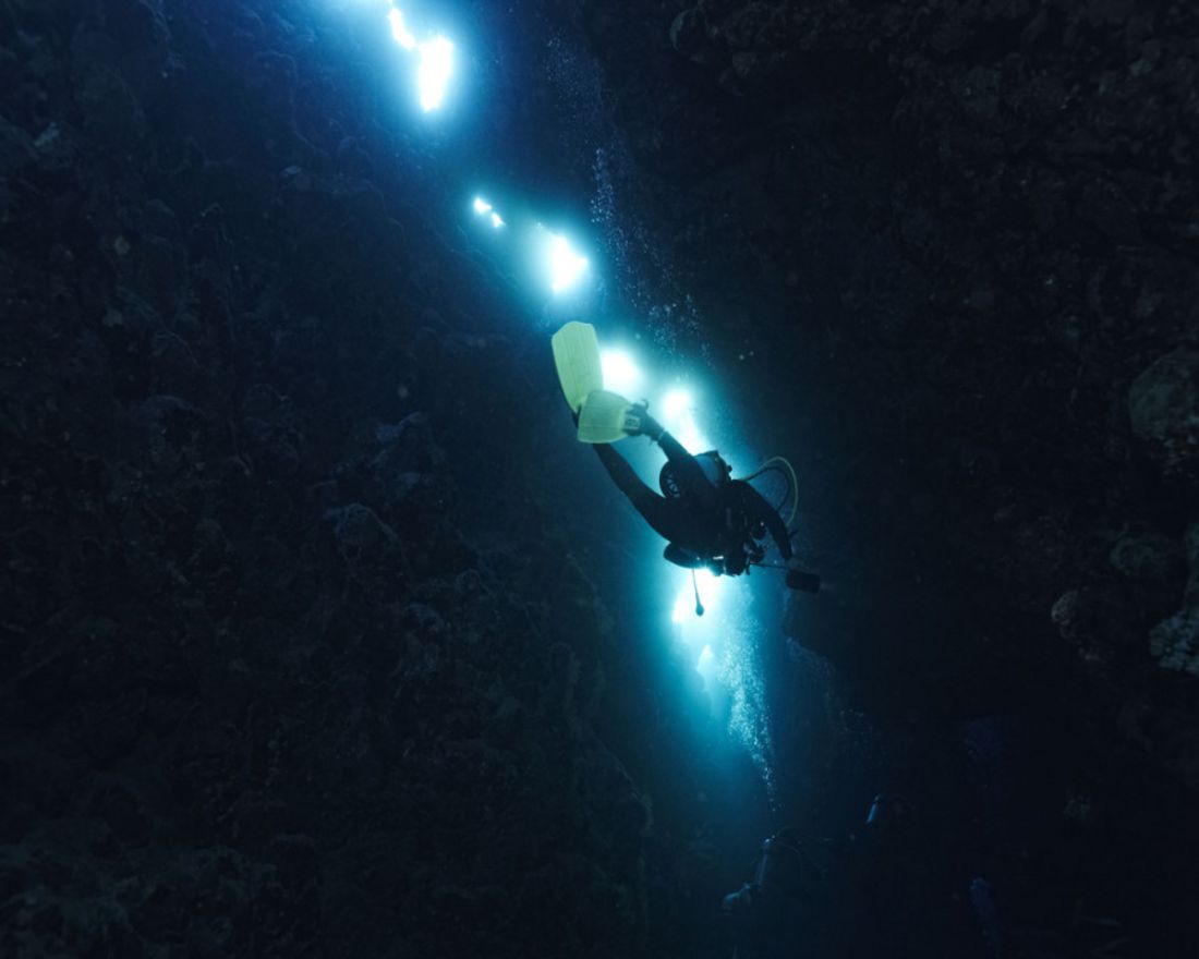 Private Night Scuba Diving Experience in Mirissa, photo 5