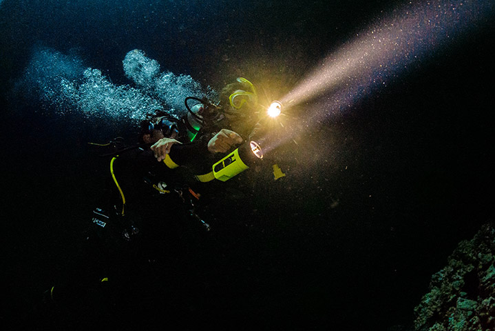 Private Night Scuba Diving Experience in Mirissa gallery 2